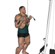 Triceps Push Down - Cable Reverse
